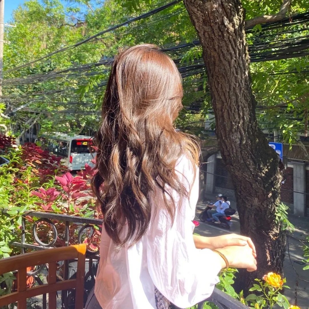 淑女宠爱
